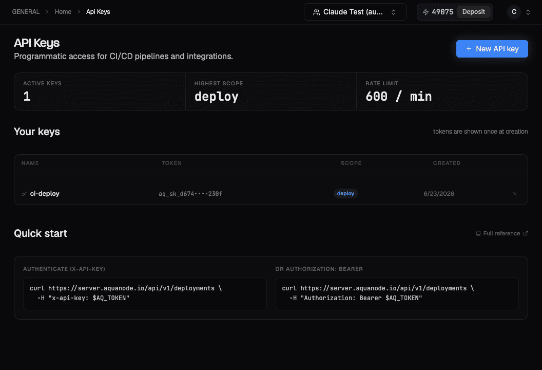 The API Keys page showing an active key, its scope, and the API quick-start