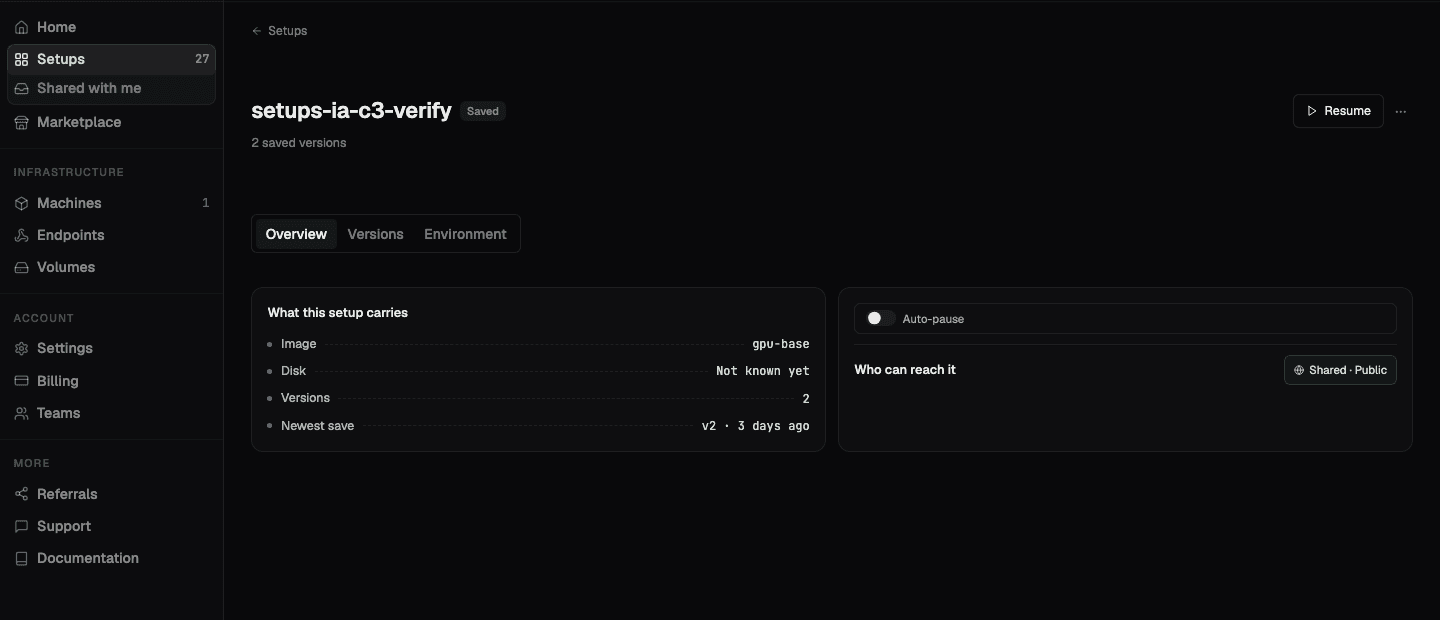 A setup's Overview tab